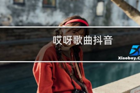 哎呀歌曲抖音