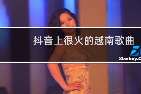 抖音上很火的越南歌曲