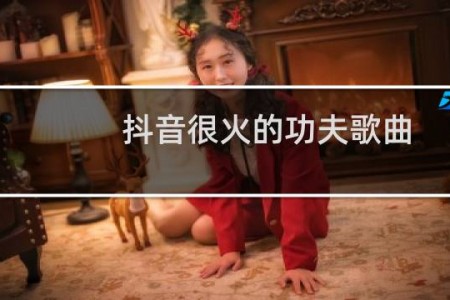 抖音很火的功夫歌曲