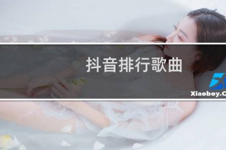 抖音排行歌曲