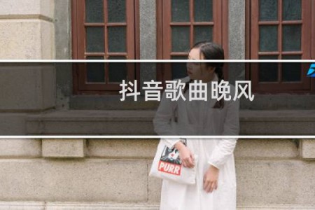 抖音歌曲晚风