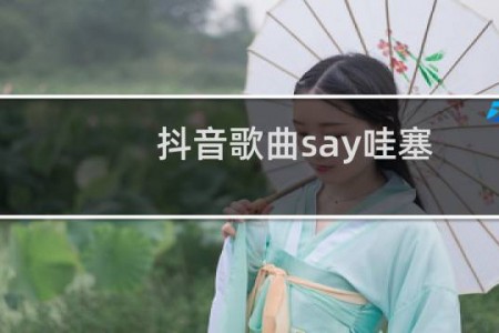 抖音歌曲say哇塞