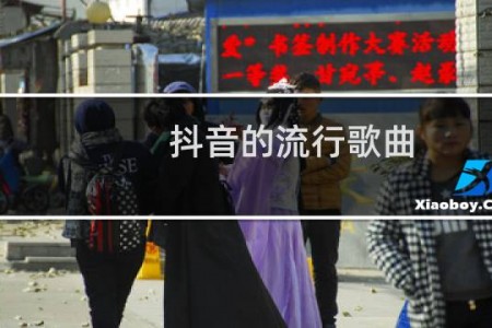 抖音的流行歌曲