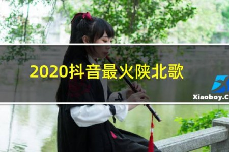 2020抖音最火陕北歌曲