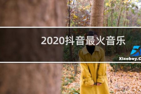 2020抖音最火音乐